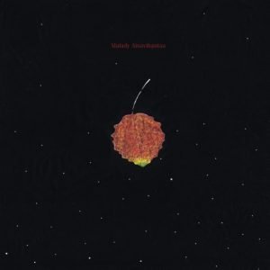 Malady: Ainavihantaa (LP)