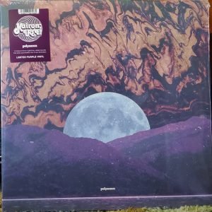 Kairon IRSE!: Polysomn (purple 2LP)