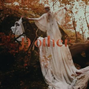 Astrid Swan: D/other (LP)