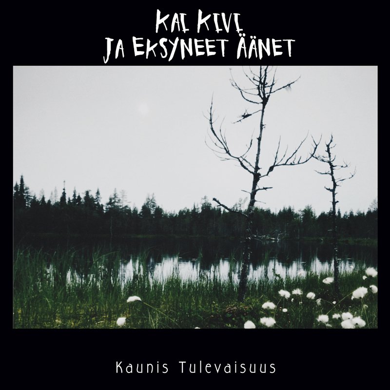 Kai Kivi Ja Eksyneet äänet : Kaunis tulevaisuus (CD)