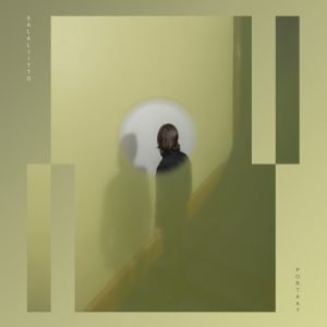 Salaliitto: Portaat (2 LP)