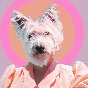 Litku Klemetti: Funny Girl (LP)
