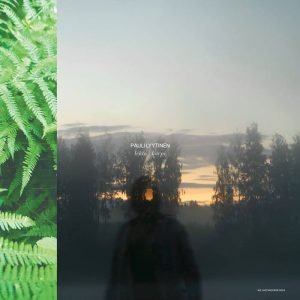 Pauli Lyytinen: Lehto / Korpi  (LP)