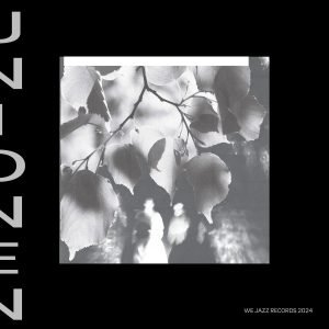 Unionen: Unionen (harmaa LP)