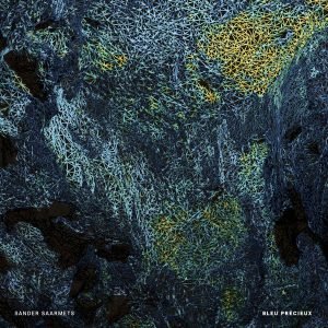 Sander Saarmets: Bleu Précieux (LP)