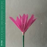 Kiri Ra!: nen (LP)